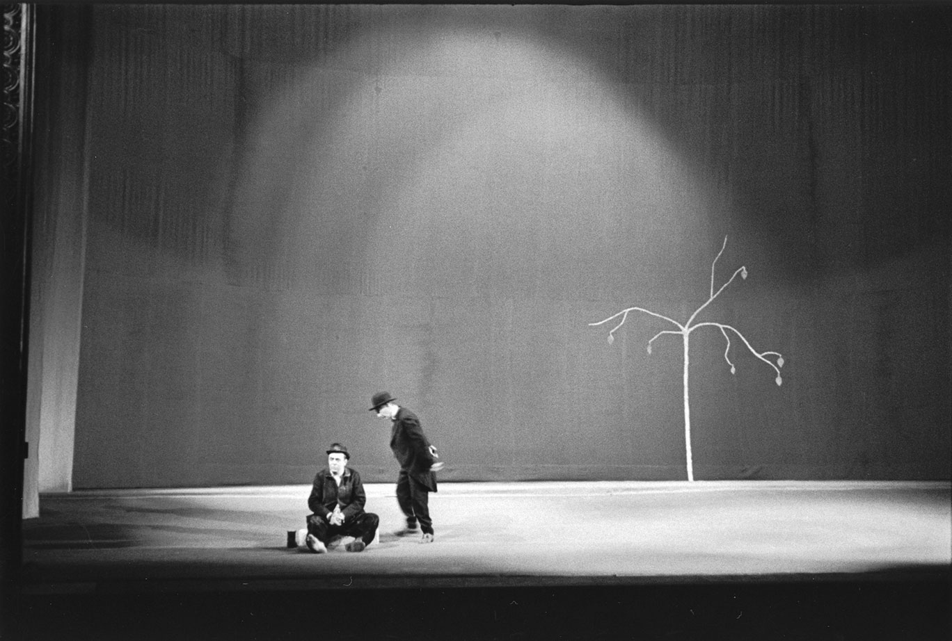 aspettando godot