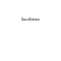 Primitivo Booklet