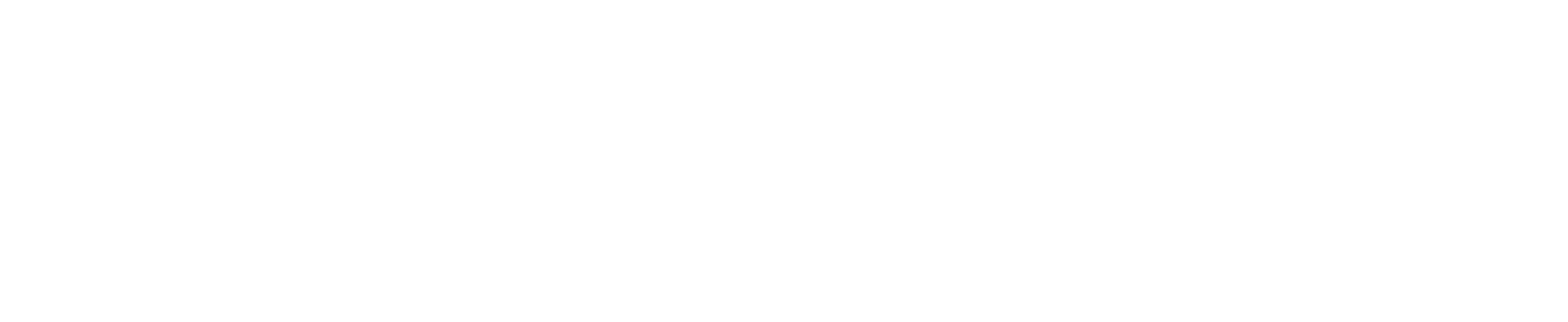 novaluna logo